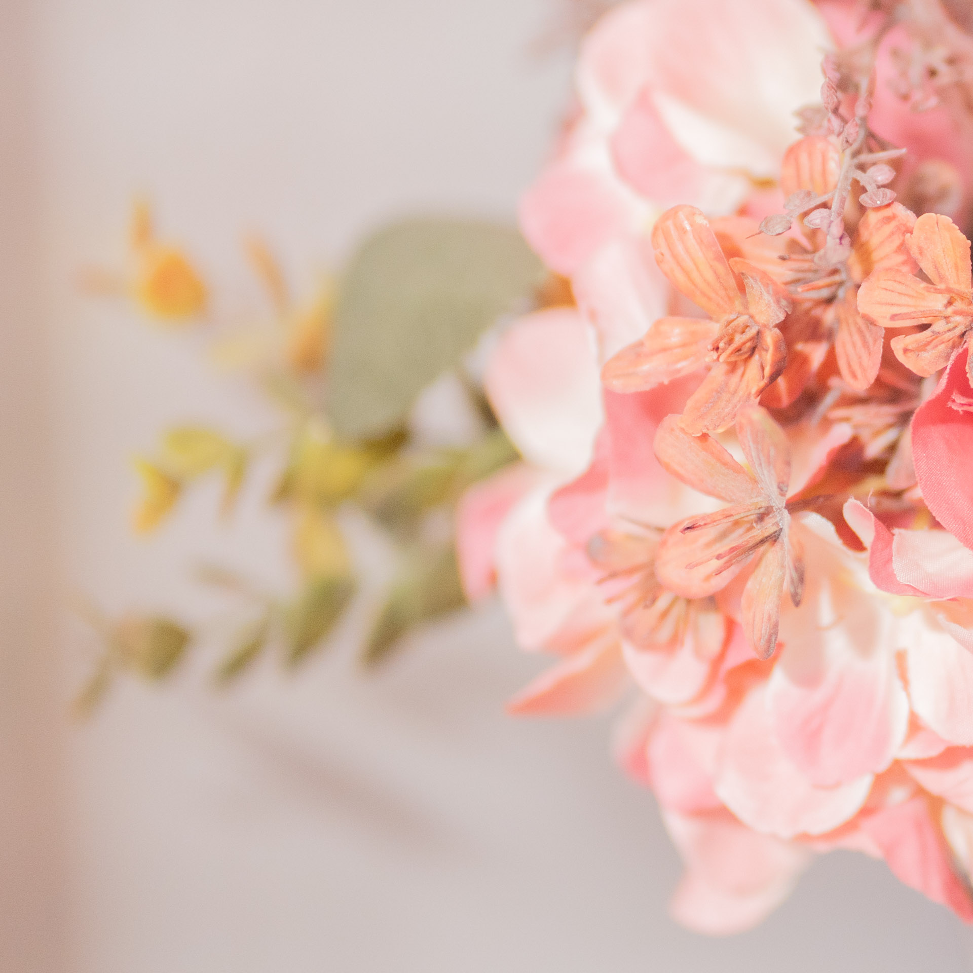 Ôde aux BURN’ettes, un poème de Julie